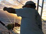 Rascal Charters Sportfishing